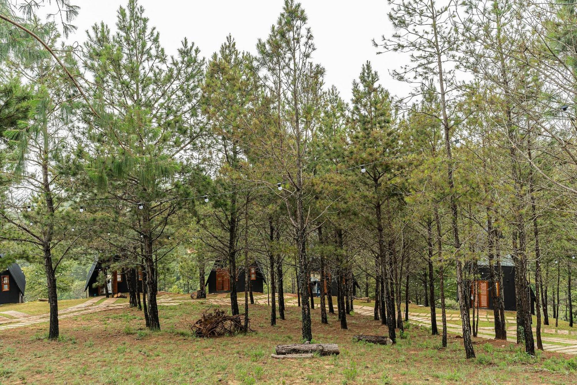Chales Naturale - Campos Do Jordao - Cna Exterior photo